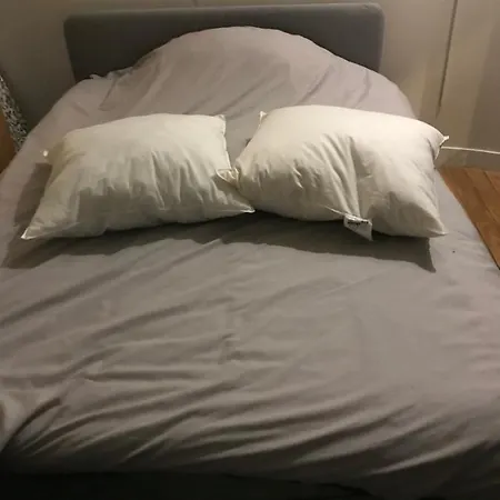 Appartement Paris 13 شقة إيفري سور سين